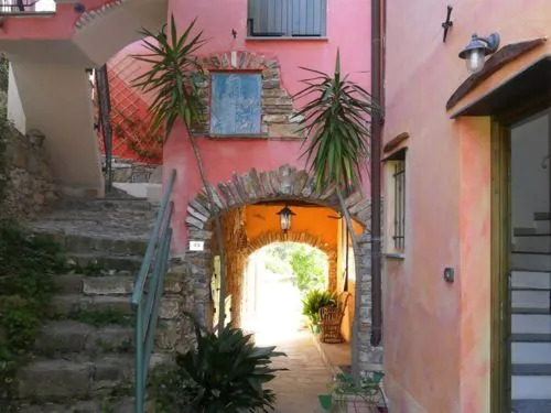 Olive House