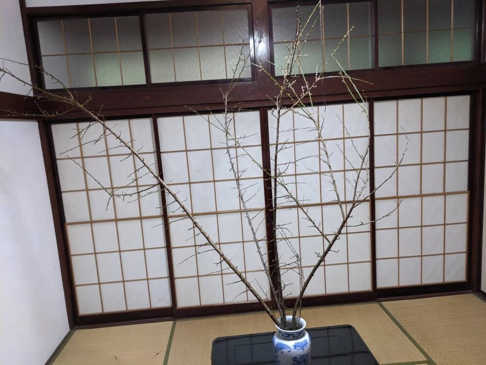 Ohanabatake