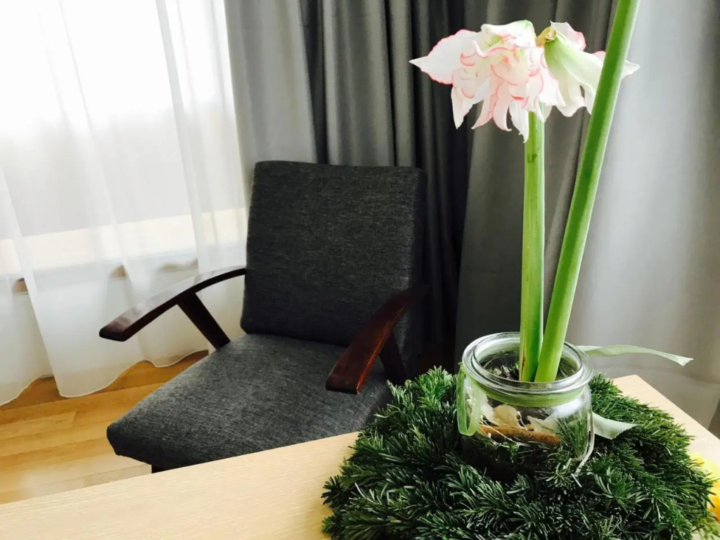 Design Apartment in Park