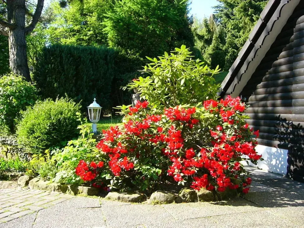 Holiday Home Country House Kathy