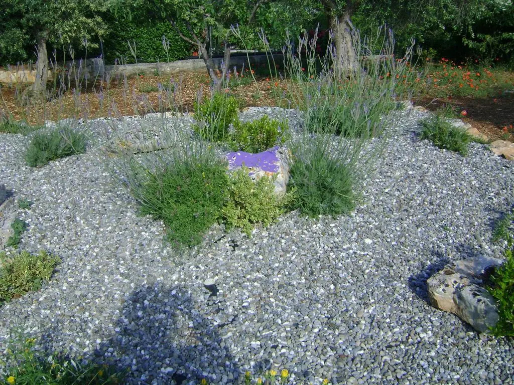 B&B Tenuta Ranieri