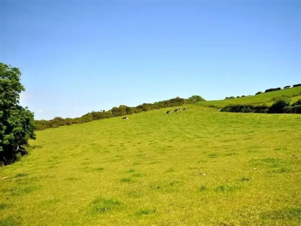 Jasmine Cottage, Osmington, OSMINGTON