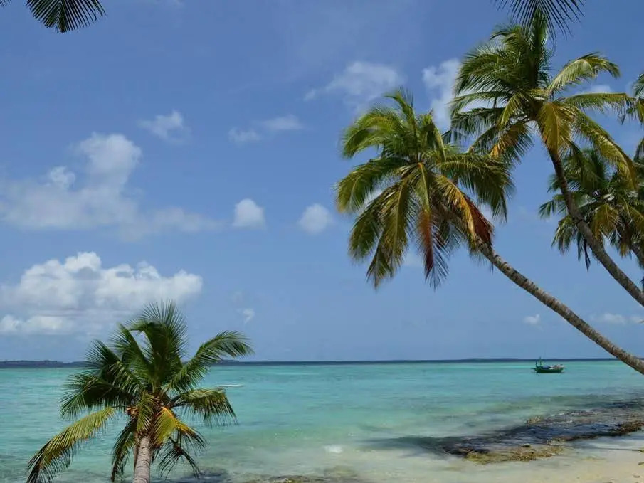 Vashafaru Inn