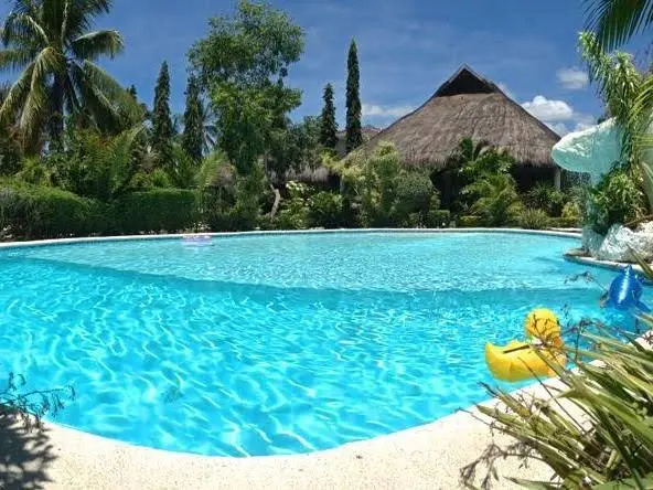 Dive Point Alcoy
