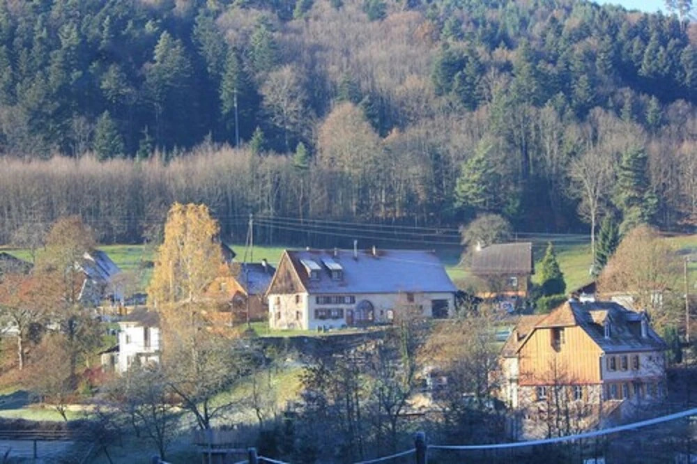 A lombre du verger