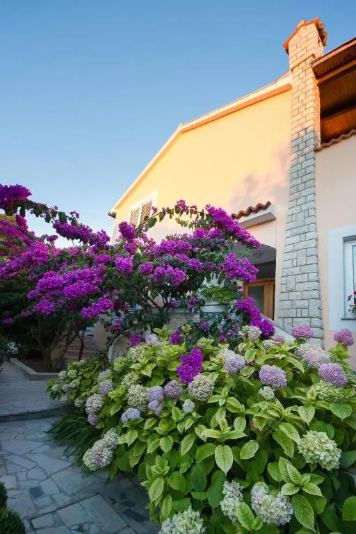 Apartments Pende