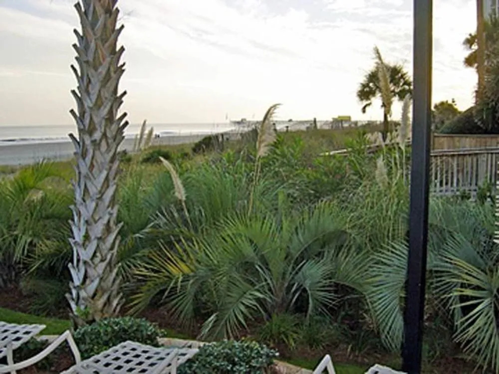 Kingston Plantation Real Estate
