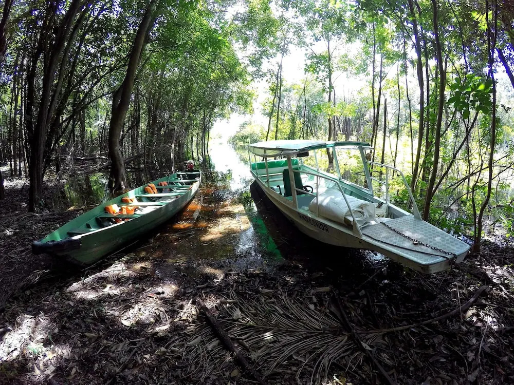 Amazon Tupana Jungle Lodge