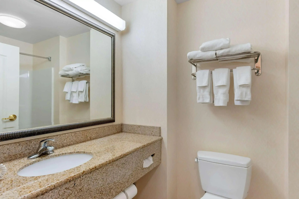 Comfort Inn & Suites Dover near Speedway