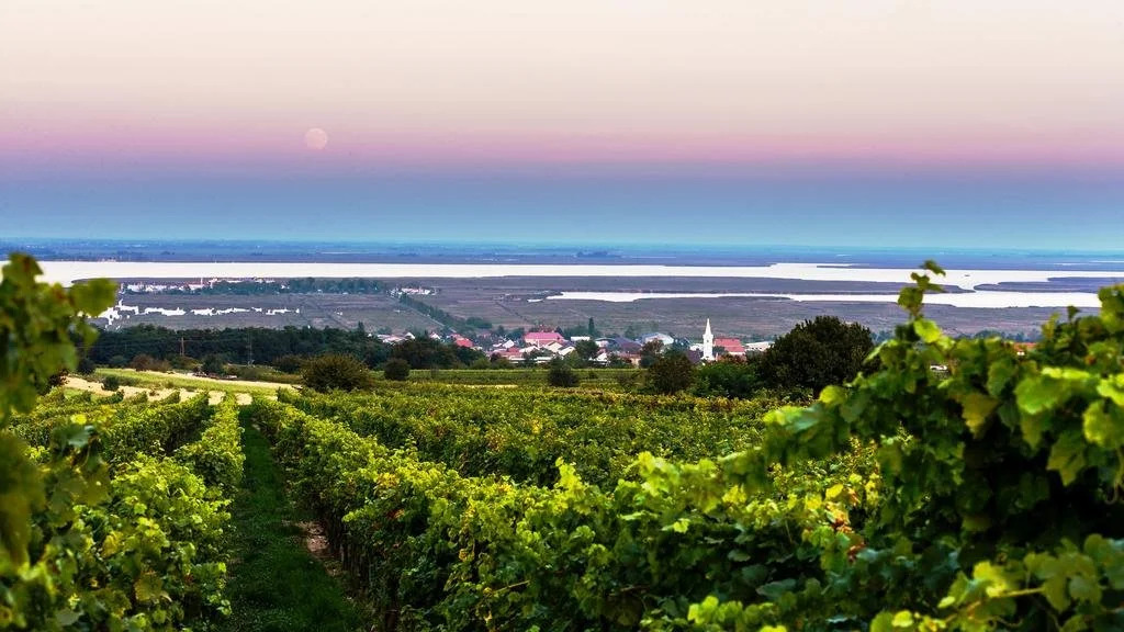 Weingut Franz Schindler