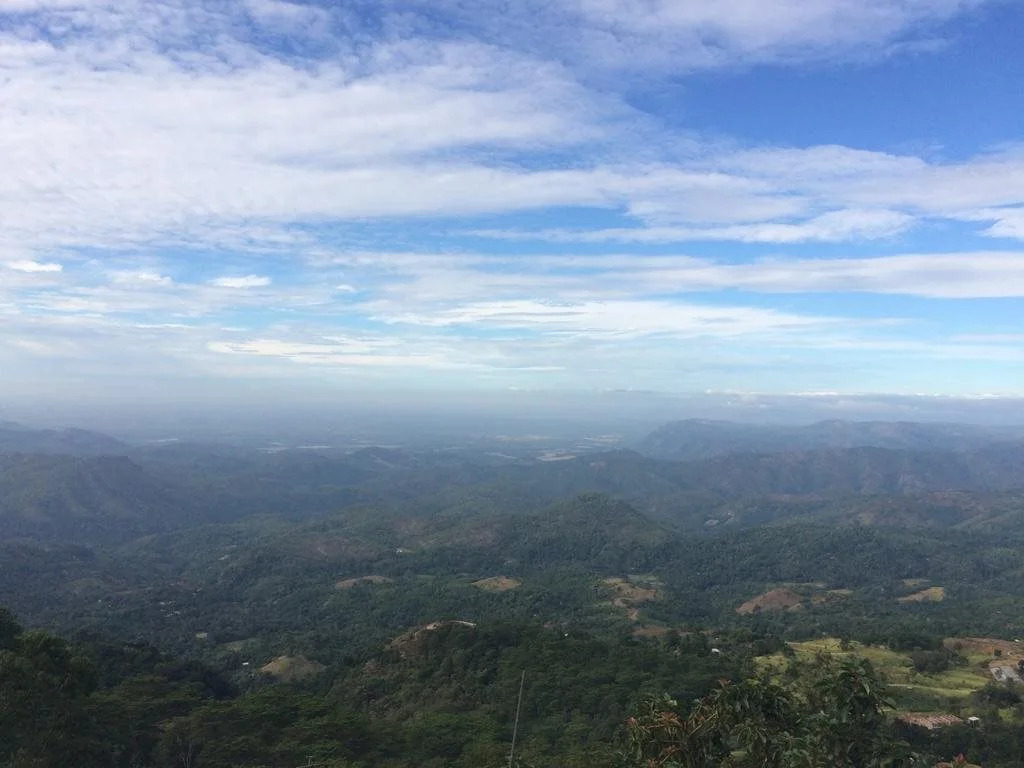 Nature Horizon