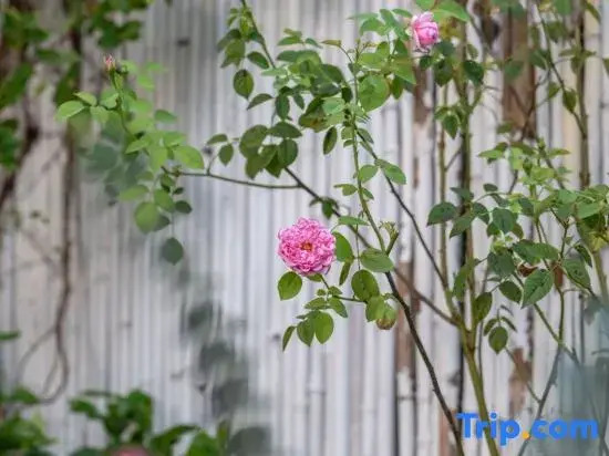 Hangzhou Yunzhongxi Homestay (Jiuxi Road Zhijiang Road)