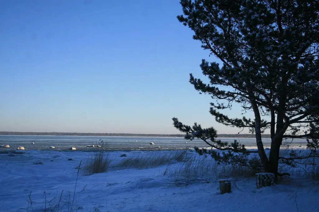 Ranniku Holiday House
