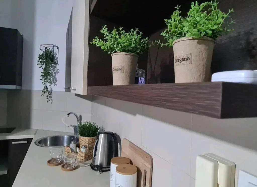 Apartment in the heart of the city 3A