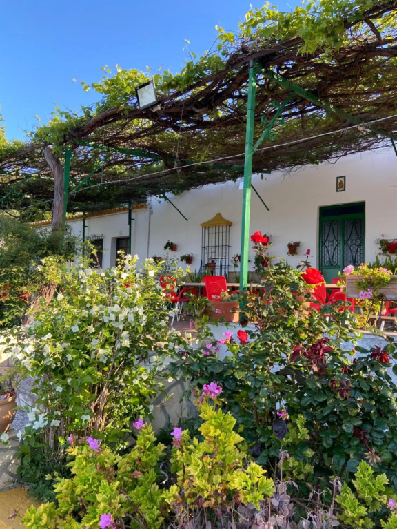 La Ponderosa Casa de campo Sierra Grazalema