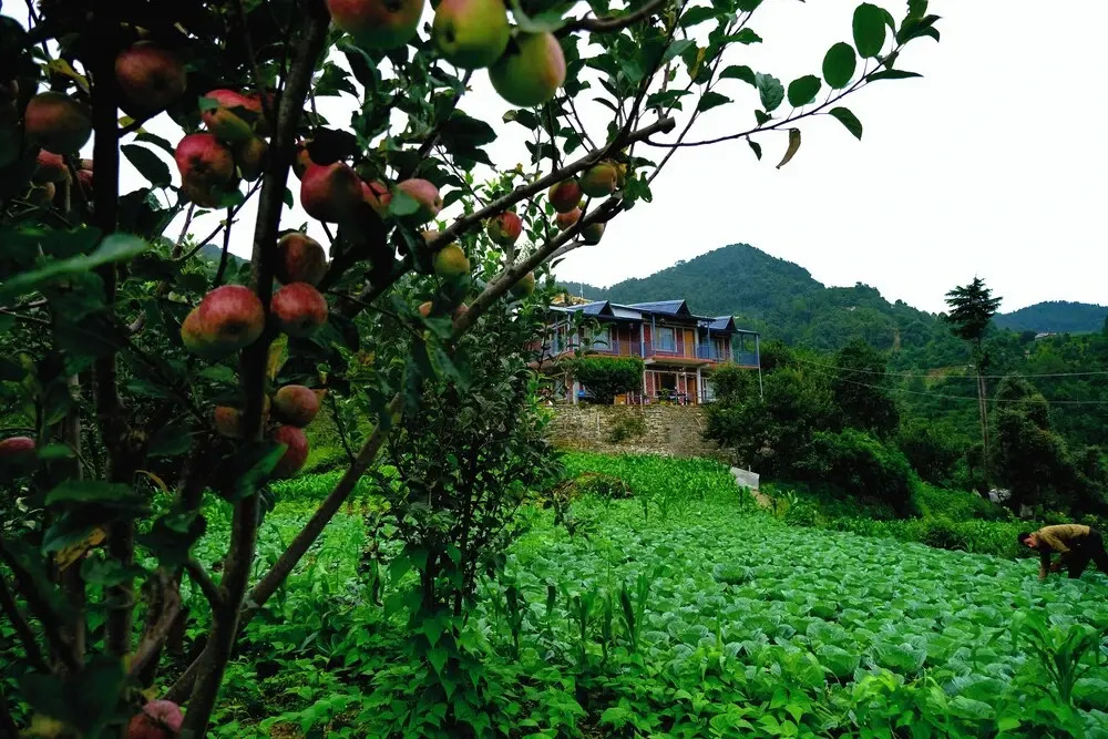 Saanidhya Homestay