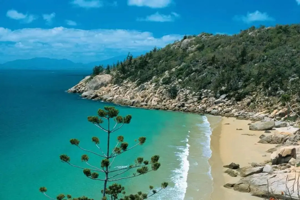 Beachside Cottage - A Private Peaceful Hidden Gem 50m to Beach