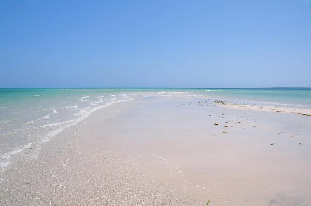 Msambweni Beach House and Private Villas