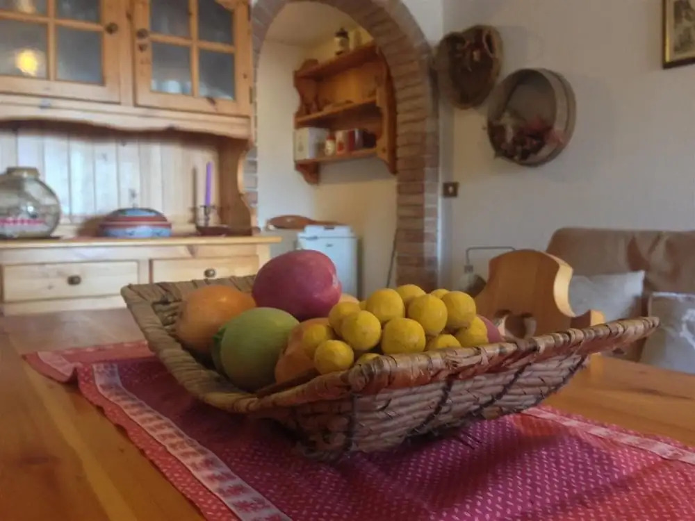 Casa nel Bosco