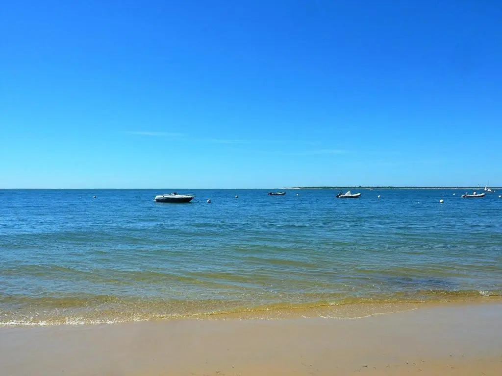 Appartement Arcachon, 3 pièces, 6 personnes - FR-1-420-107