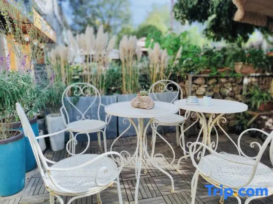 Jinyun Photography Theme Inn (Xiandu Scenic Area Branch)