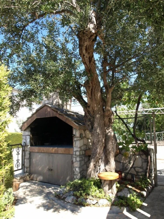Željka - 25m From the Beach - A1