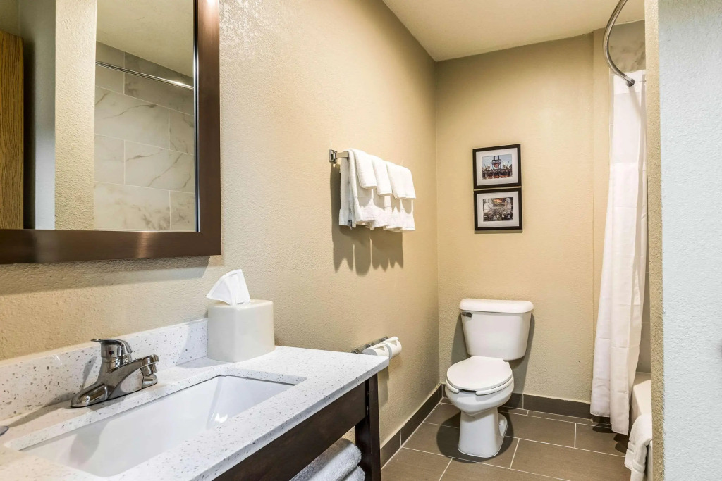Comfort Inn Detroit Downtown