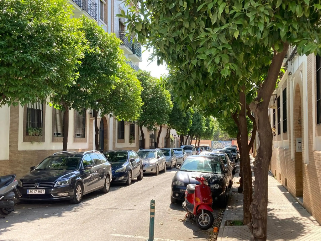 Acogedor apartamento en semisótano con patio y cerca de la Plaza de España