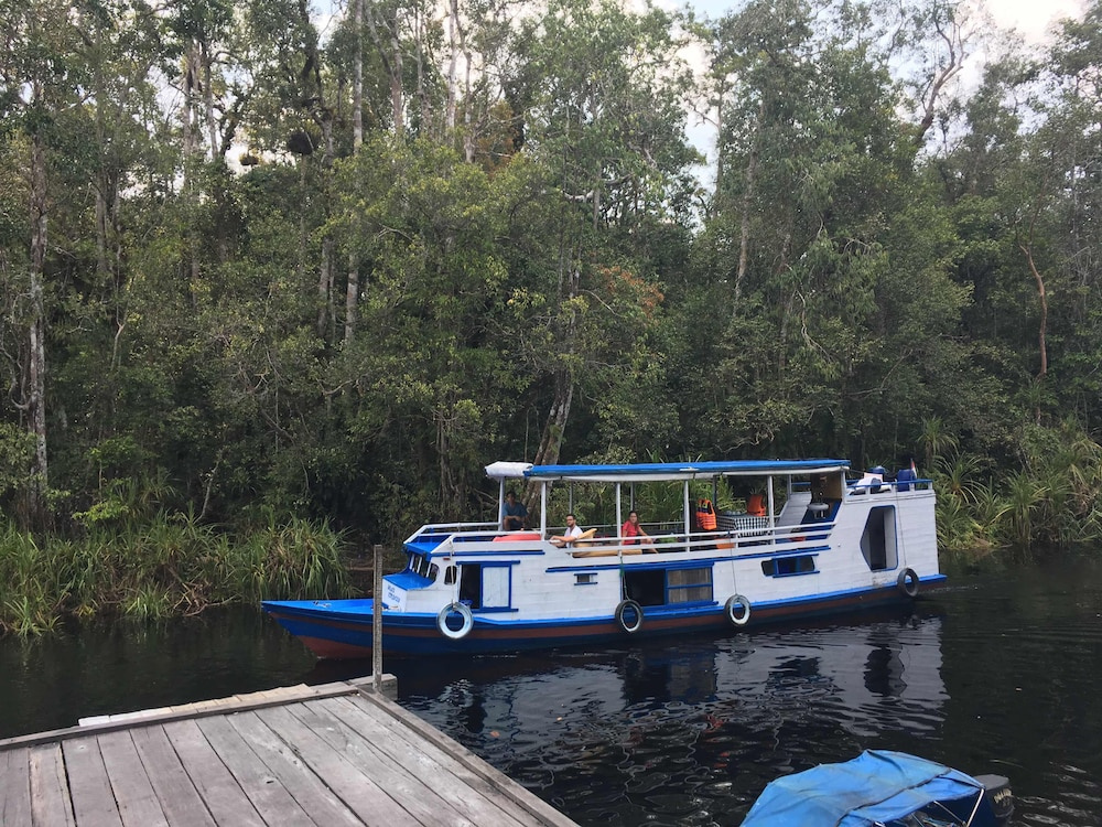 Houseboat Bee Kelotok