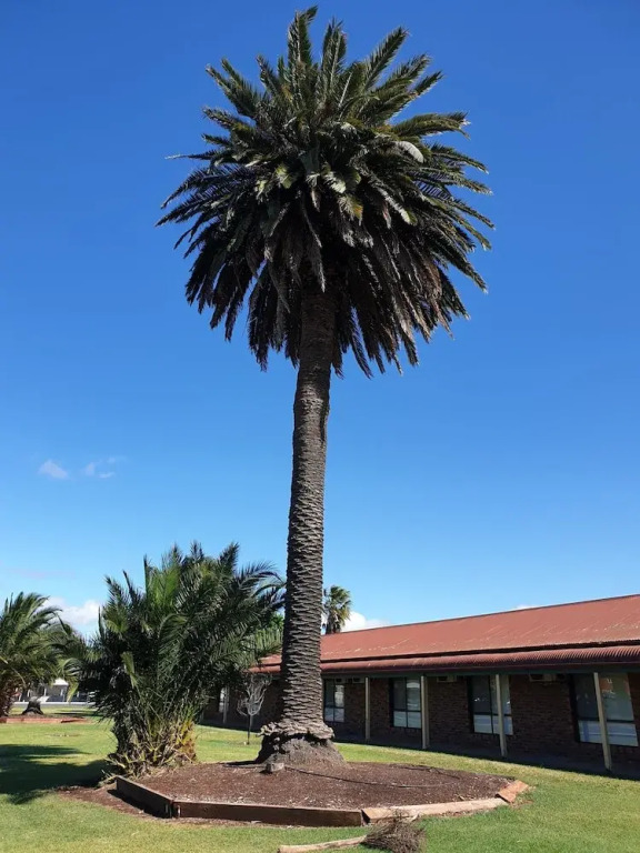 The Finley Palm Motor Inn