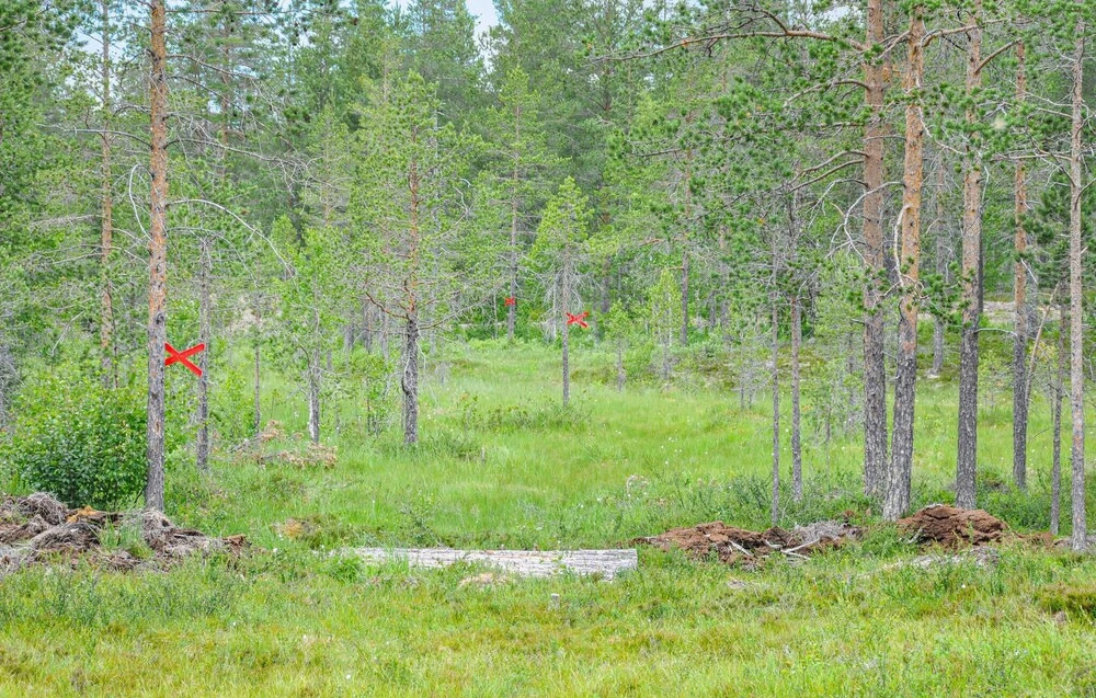 4 Bedroom Stunning Home In Särna