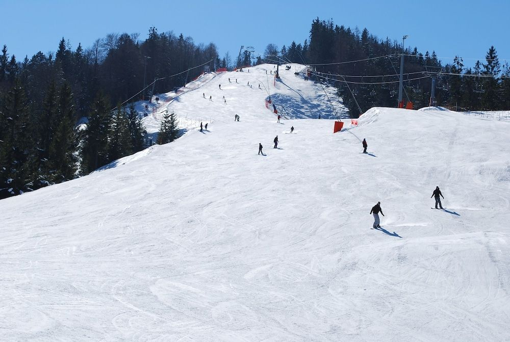 Alpengasthof Götschenalm