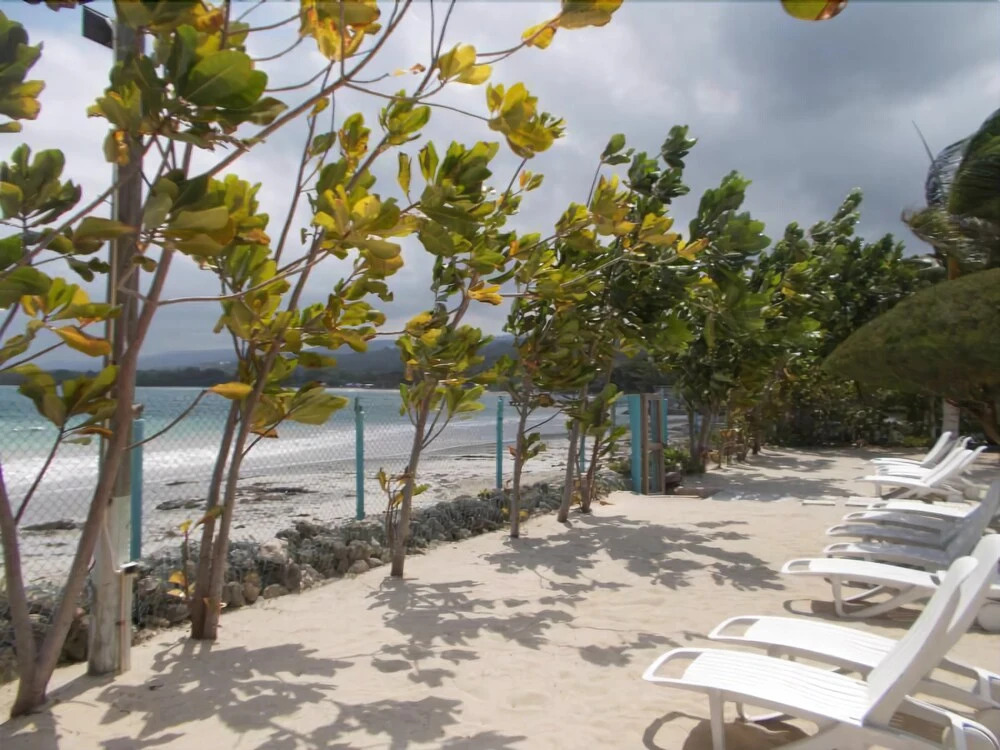 Ocho Rios Getaway Villa at The Palms