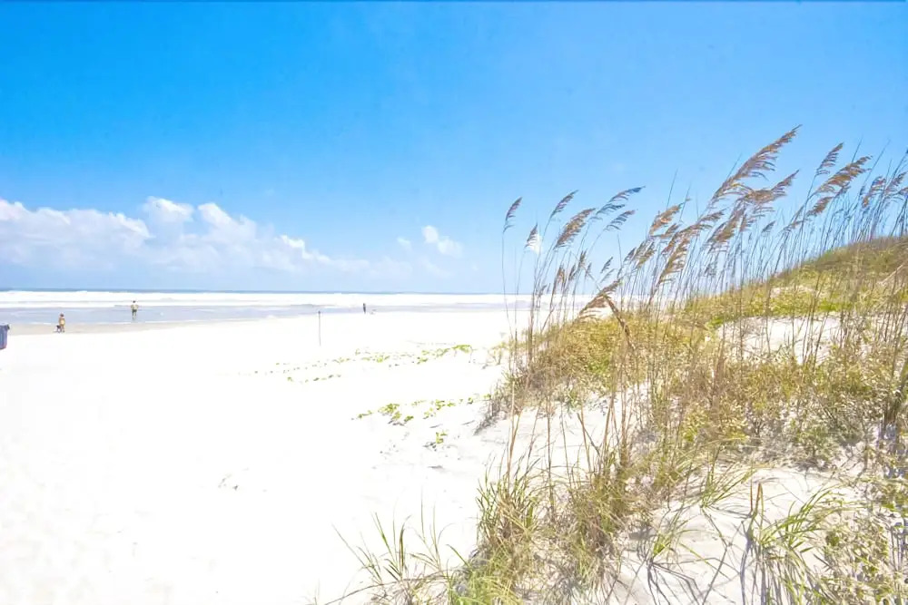 Ocean Village Club Q35 - Two Bedroom Condo