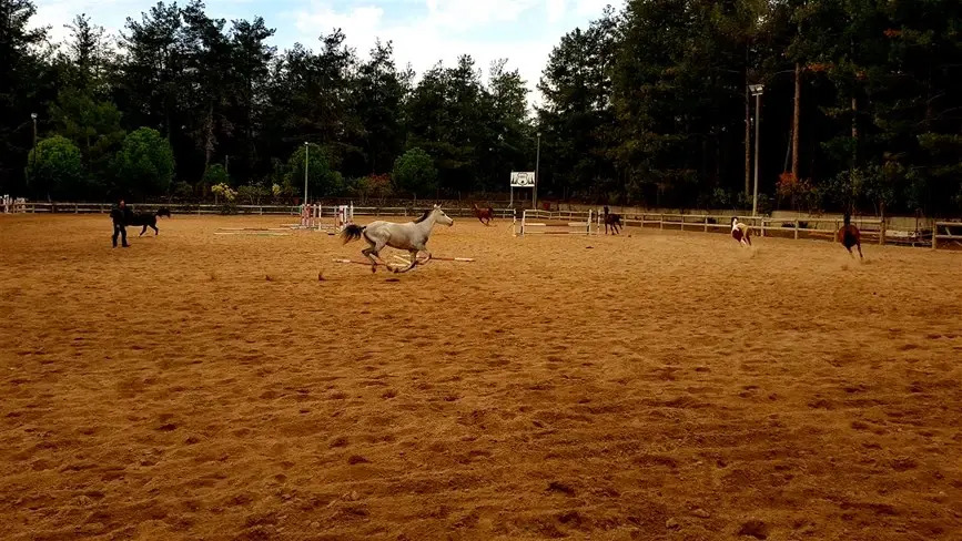 Orfe Atli Spor Kulübü