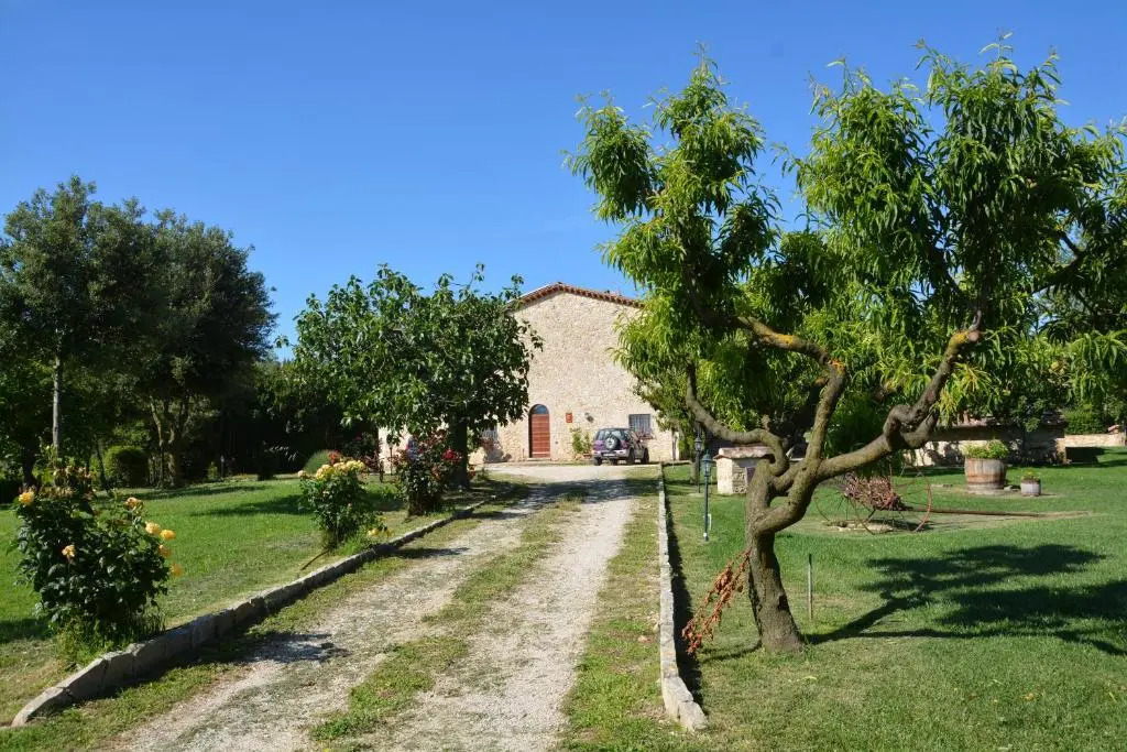 Le Ghiande