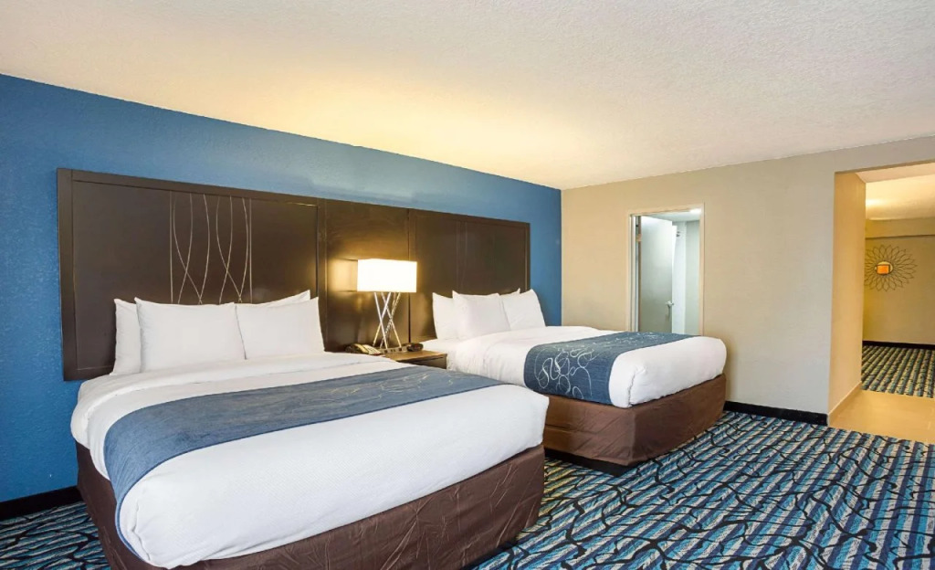 Comfort Suites University