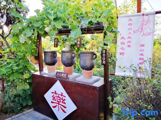 The Taibai Mountain Phoenix Spr Hotel
