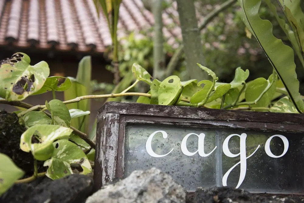 Guest house cago