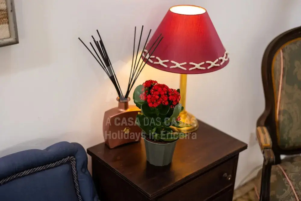 ZAS House by Acasadascasas