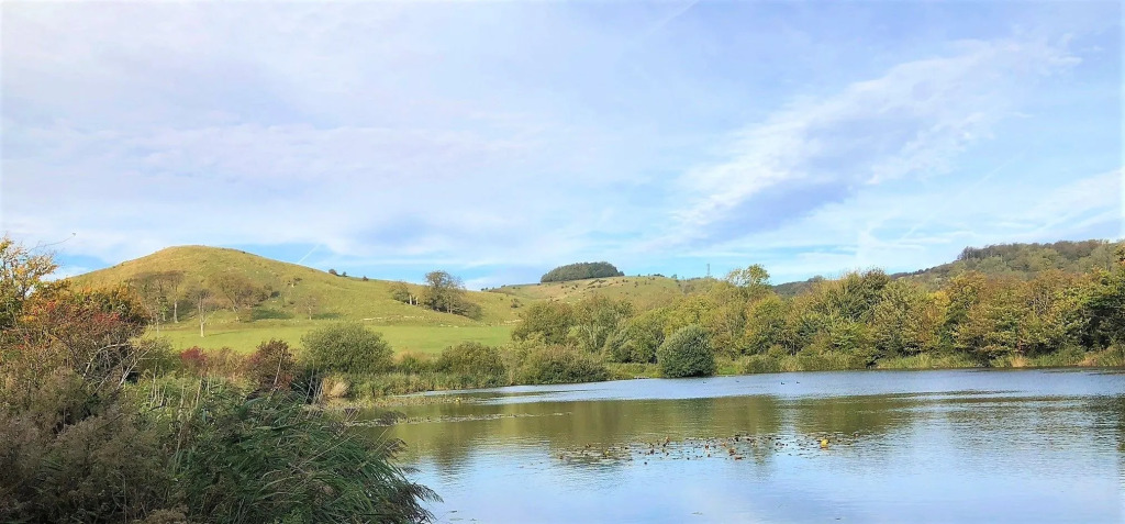 Beachborough Park