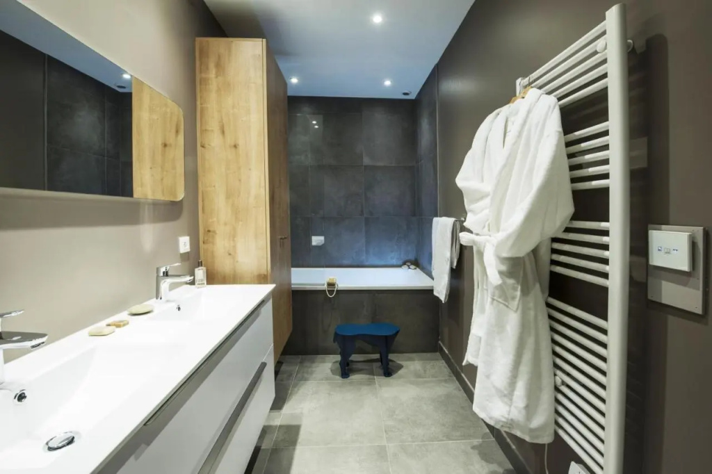 MiHotel Gailleton Lion