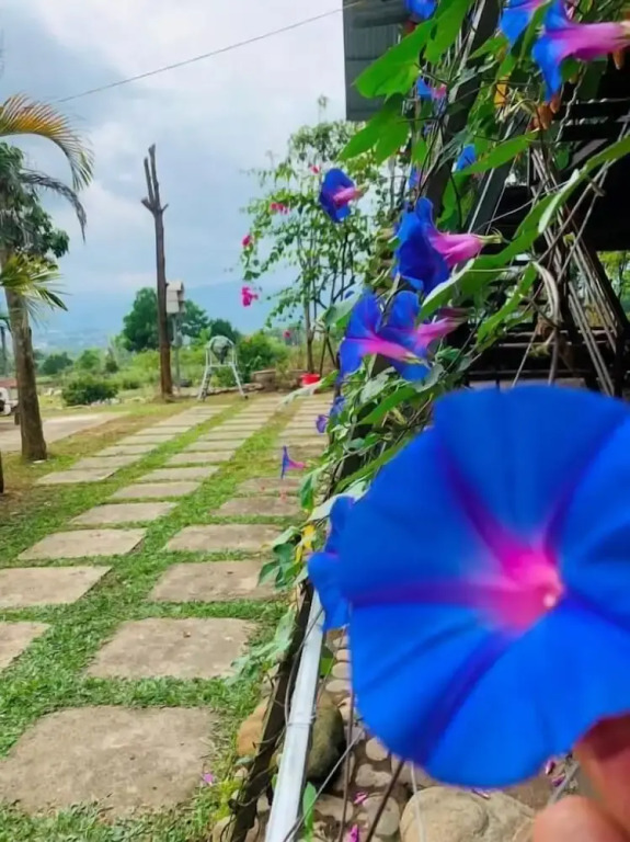 Mi House Nghia Lo Yen Bai