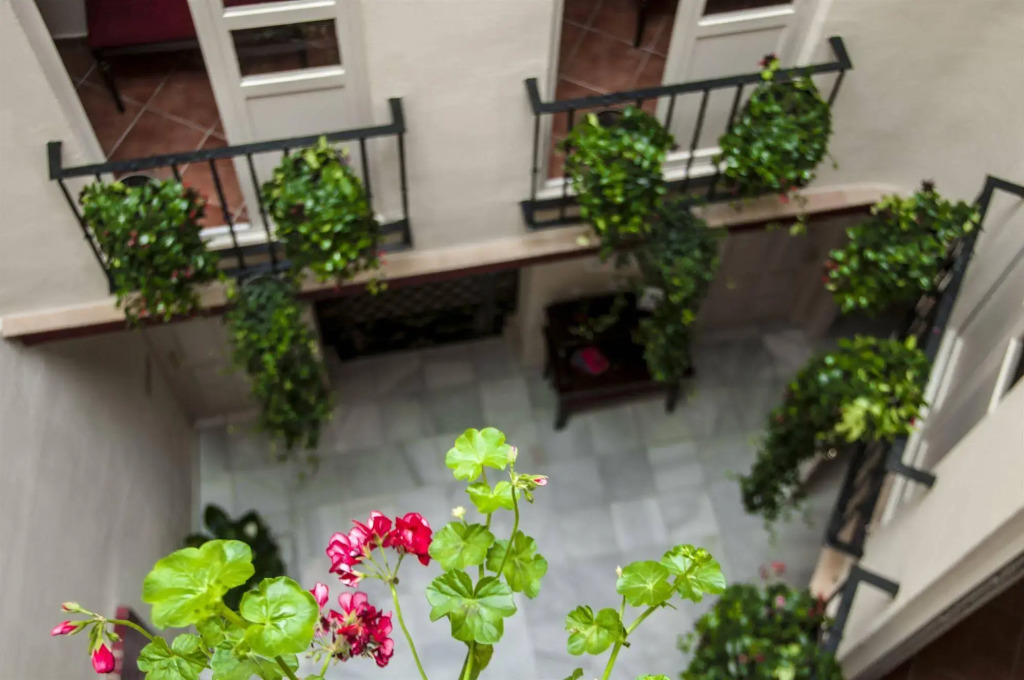 Hostal Callejon del Agua