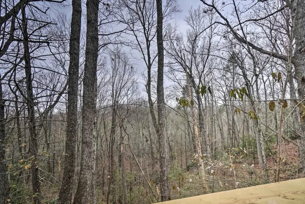 Gatlinburg Log Cabin w/ Hot Tub & Mountain Views