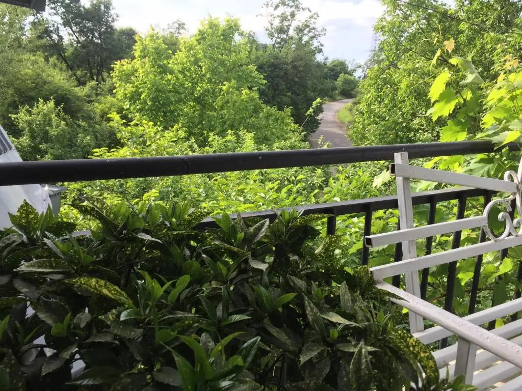 Nino's Veranda Apartment