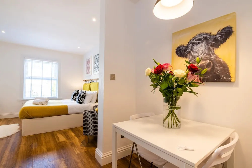 Plymouth Boutique Apartment