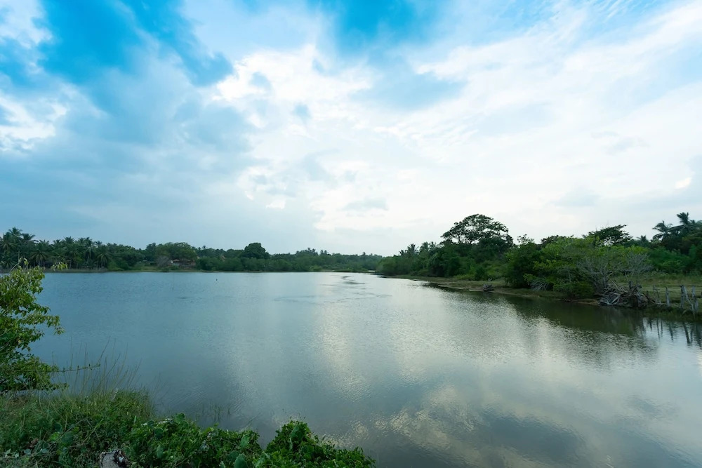 Céu Ceylon