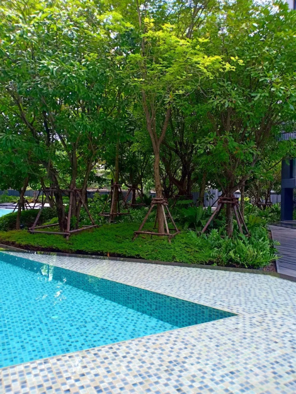 Patong Beach Luxury Condo