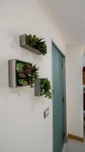 Apartamentos La Mariposa